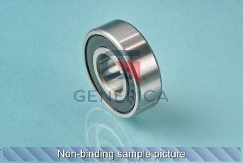 BEARING 6202-2RS (1016009)