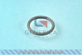 Gasket OR3075 (D19)