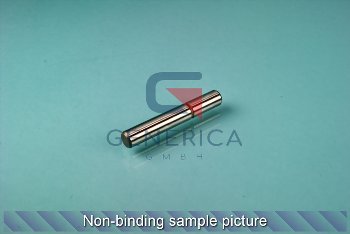 Parallel pin, 10 H6 x 65