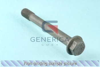 Hexagon Screw