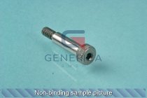 Headless screw