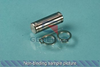 Cylinder pin with retaining ring