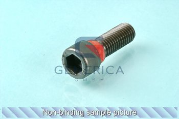 Lock bolt  (M410)