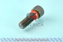 Lock bolt  (M410)