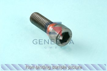 Lock bolt (M410)