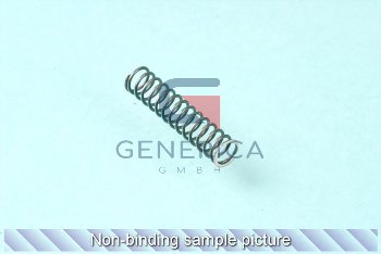 Compression spring