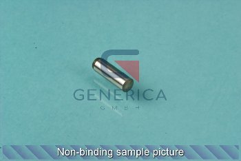 cylinder pin (1015537)