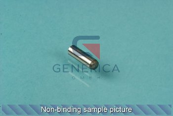 cylinder pin (1015537)