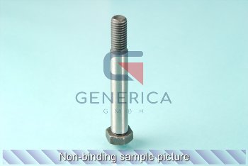 Fitting screw