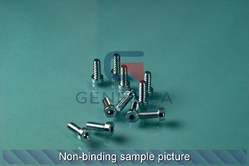 Soc. head cap screw