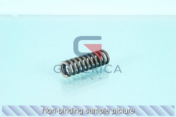 Compression spring