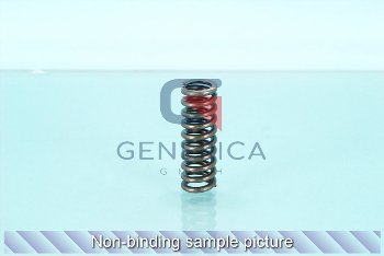 Compression spring