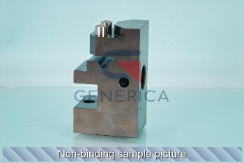 Toggle holder with pin