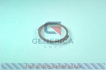 Generica Ref.No. 8041130