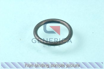 O-Ring OR3075 (D19)