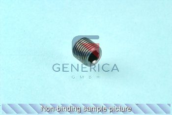 Screw STEI M10X1X10 UNI5923