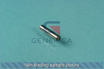 cylinder pin